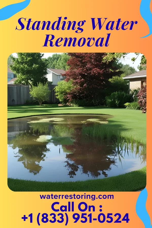 Standing Water Removal in Pace, MS
